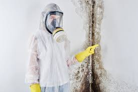 Best Comprehensive Air Testing for Mold Contaminants in Rockdale, TX